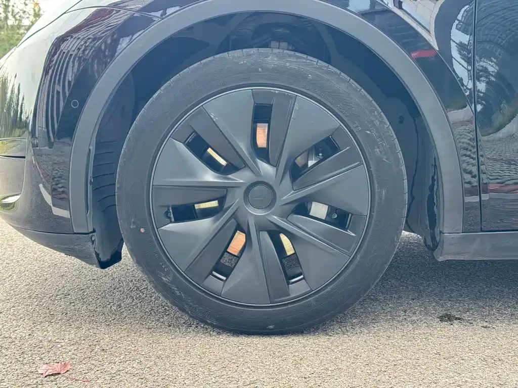 Tesla Model Y — миниатюра 12