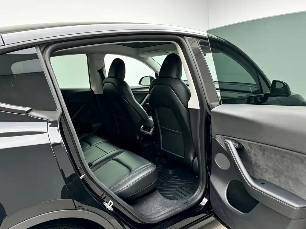 Tesla Model Y — миниатюра 11