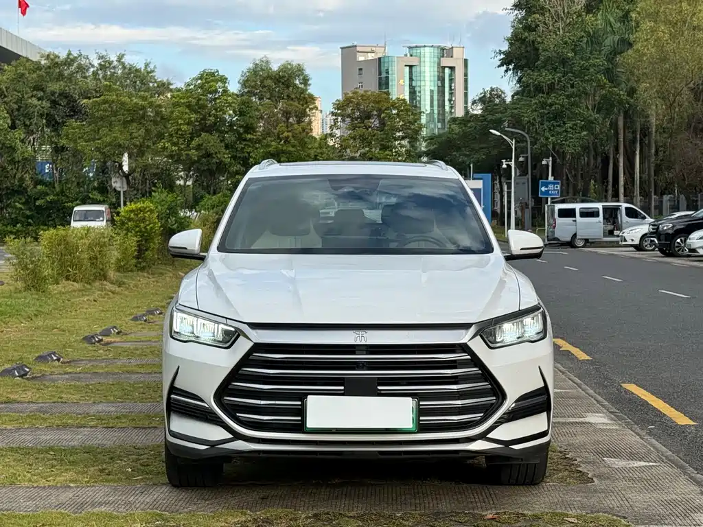 BYD Pro New Energy — миниатюра 2