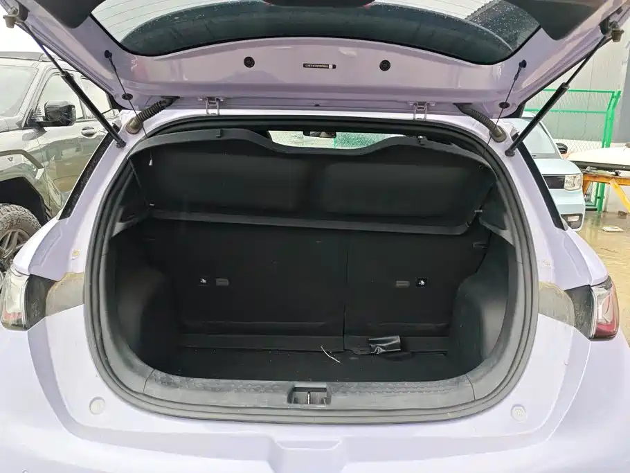 BYD Dolphin — миниатюра 4
