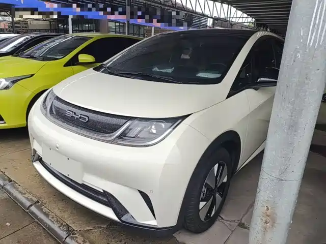 BYD Dolphin