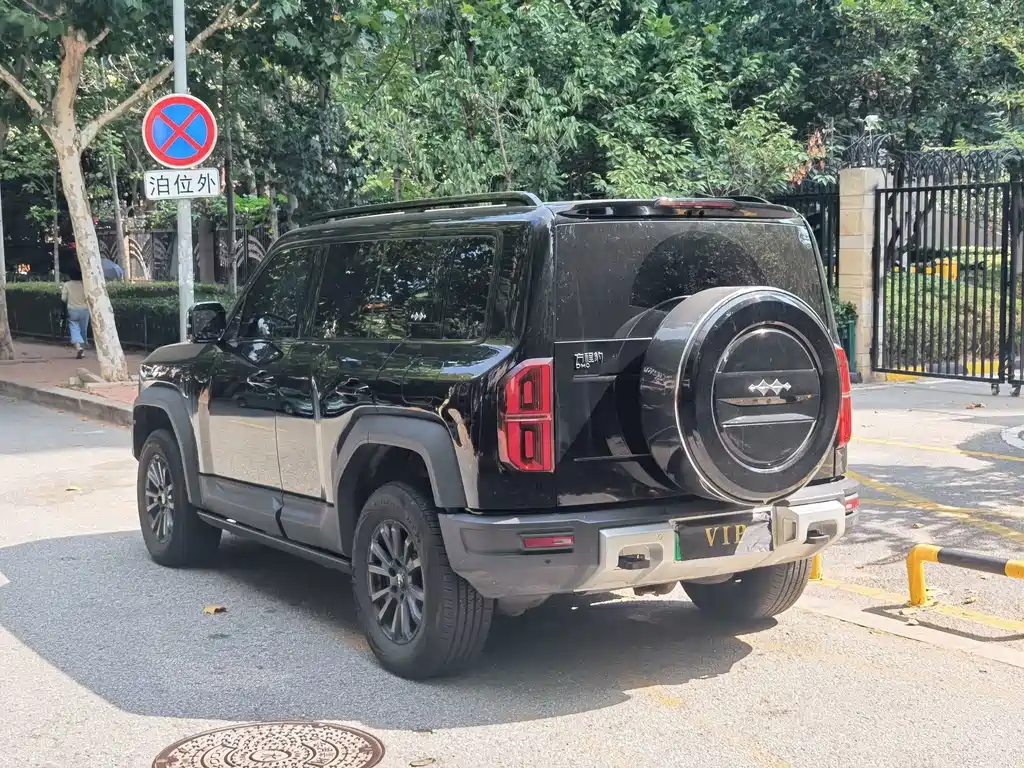 Fang Cheng Bao Leopard 5 — миниатюра 9