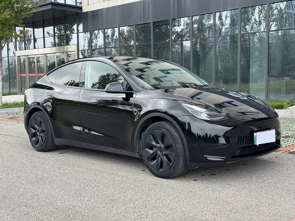 Tesla Model Y — миниатюра 3