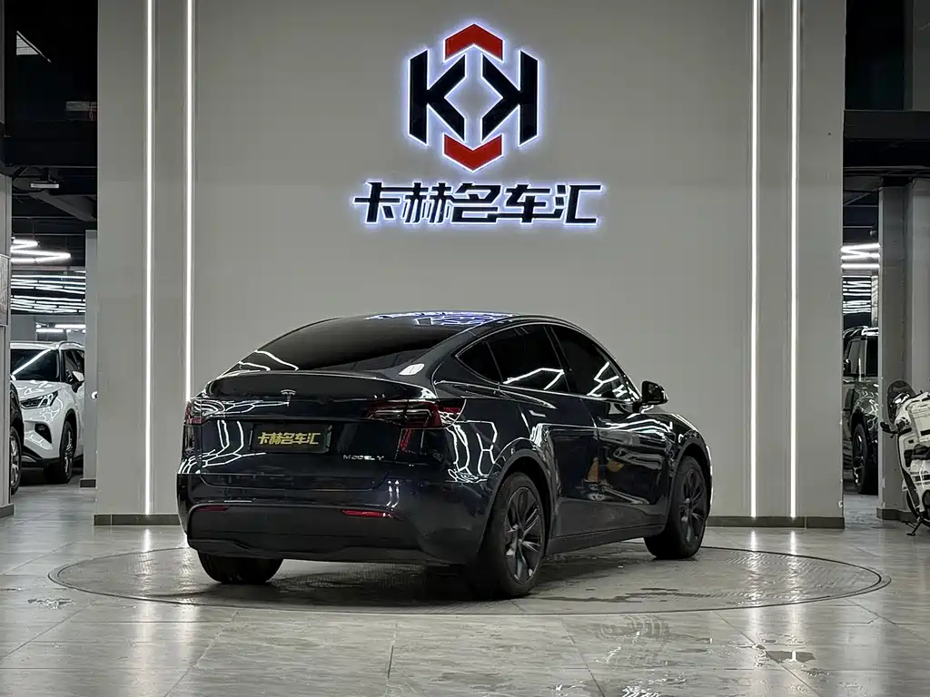 Tesla Model Y — миниатюра 6