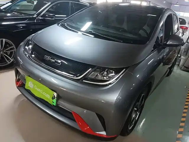2022 BYD Dolphin