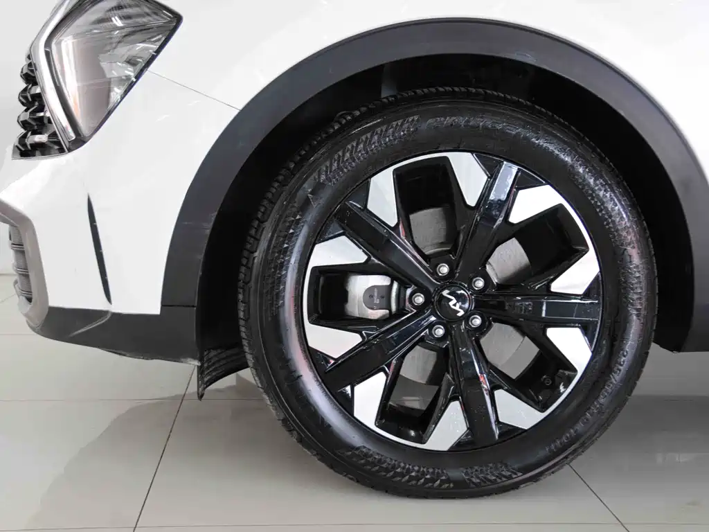 KIA LION PLATINUM EXPANDS THE WORLD