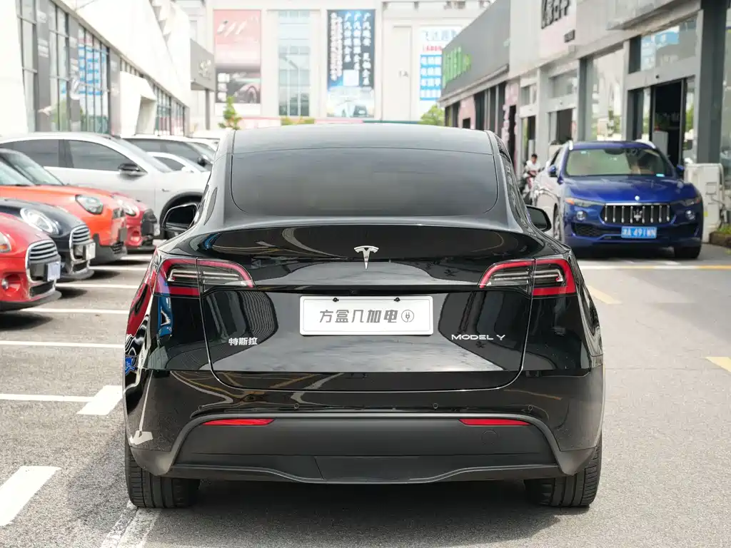 Tesla Model Y — миниатюра 5