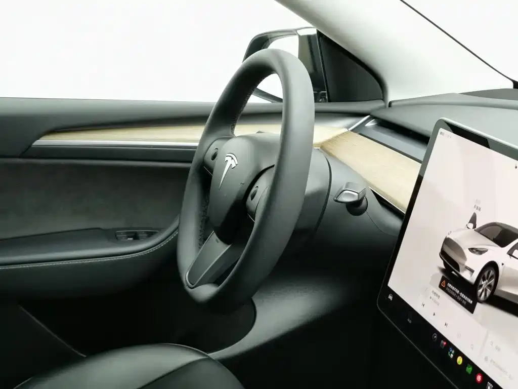Tesla Model Y — миниатюра 22