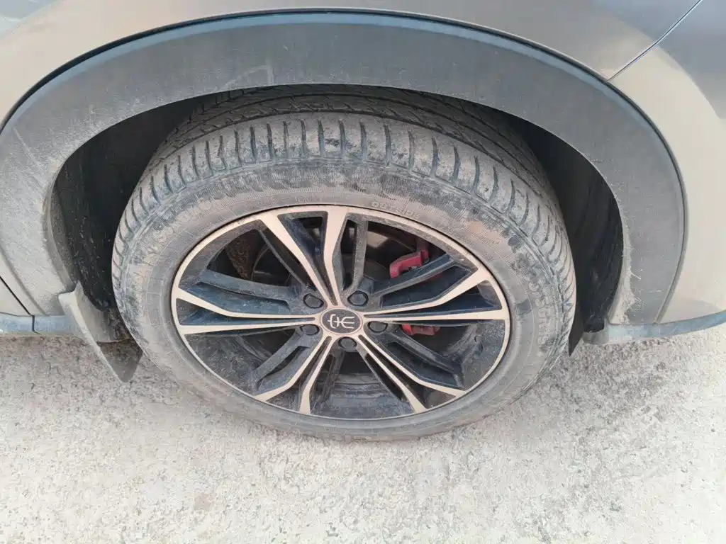 BYD PLUS — миниатюра 8