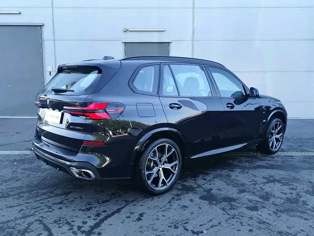 BMW X5 — миниатюра 4