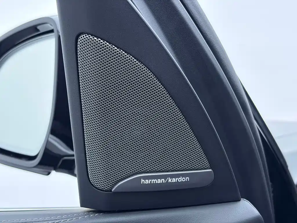 BMW X7 — миниатюра 9