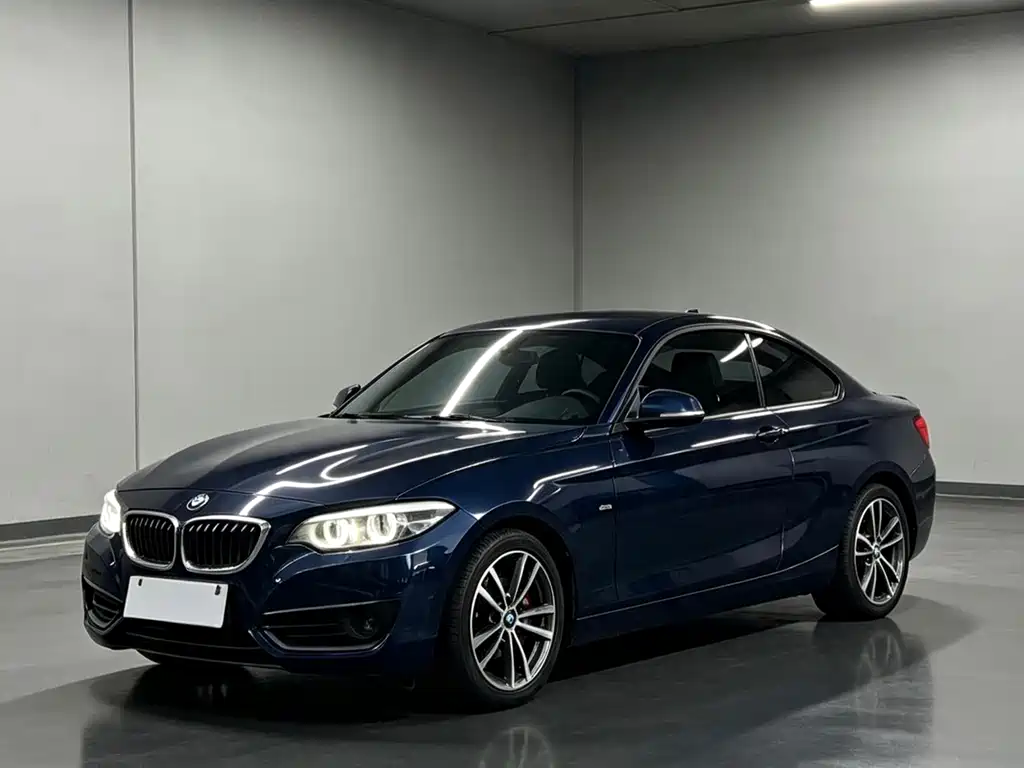 2019 BMW 2er - zdjęcie 1 z 13