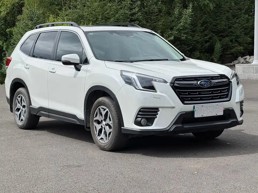 Subaru Forester — миниатюра 3