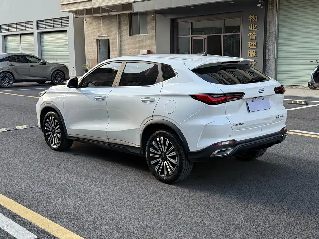Oshan Oushang X5 — миниатюра 7