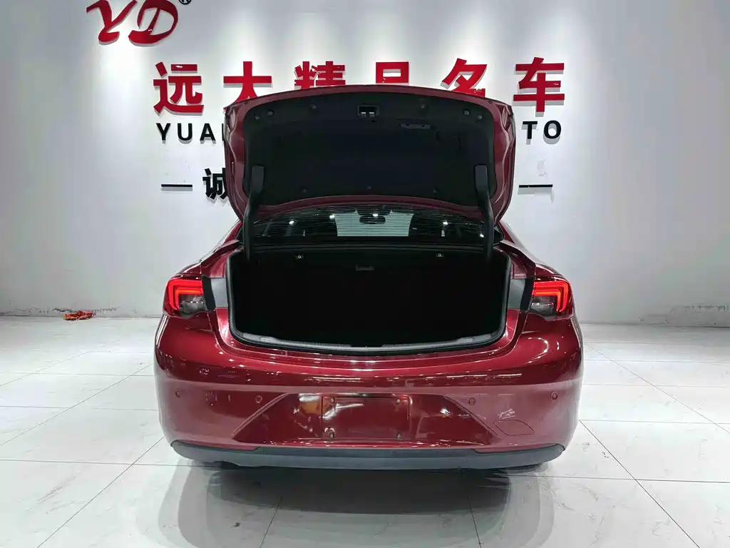 Buick Regal — миниатюра 19