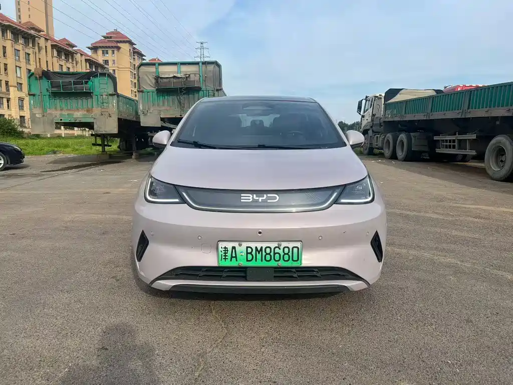 BYD Dolphin 2025 Smart Drive 410km Fashion
