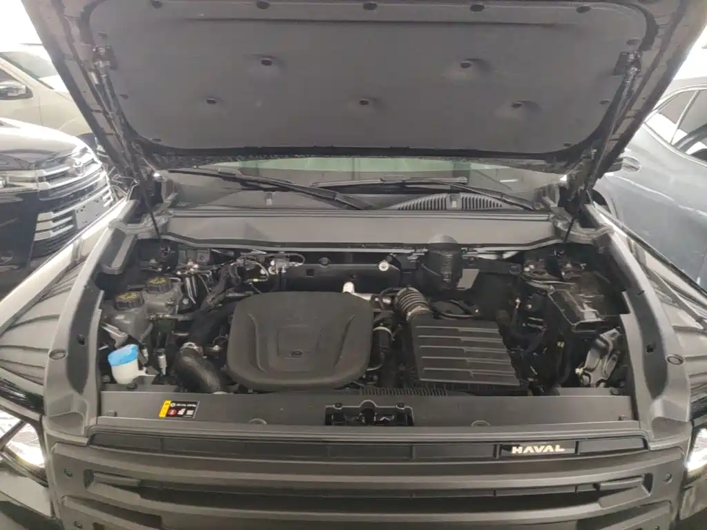 Haval Menglong New Energy — миниатюра 20
