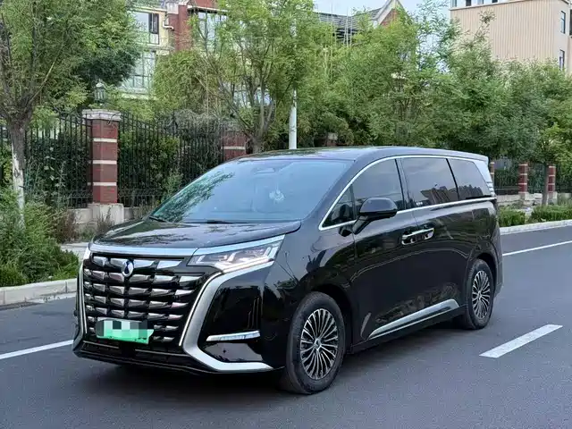 2025 Denza D9