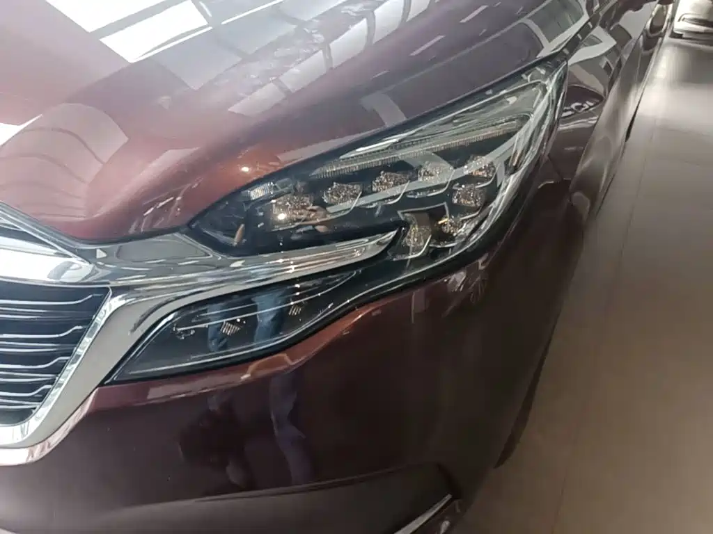 Buick GL8 — миниатюра 24