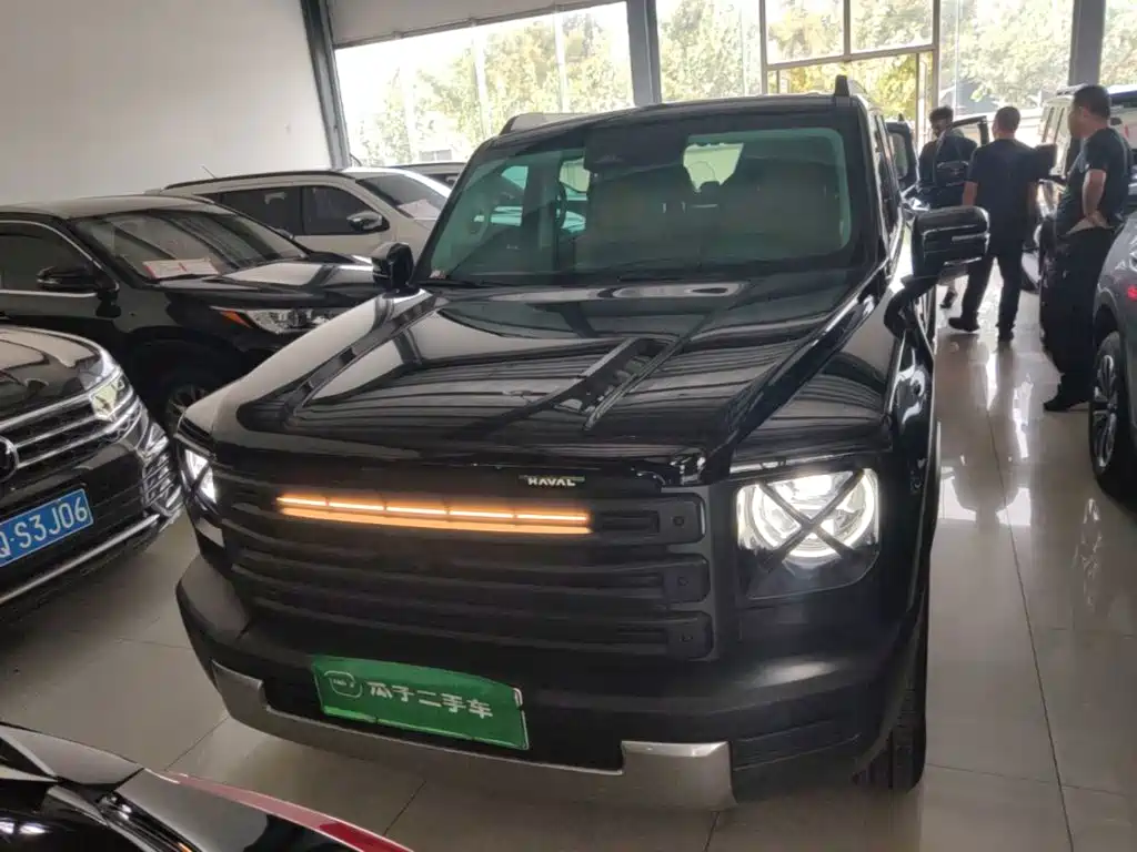 Haval Menglong New Energy — миниатюра 3