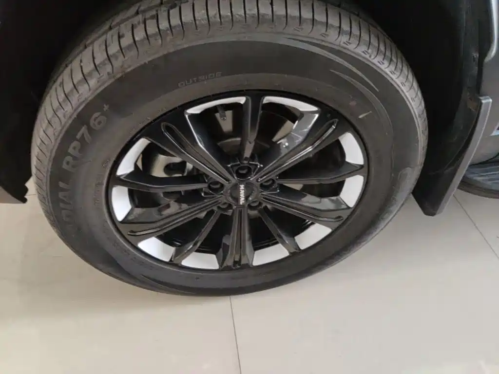 Haval Menglong New Energy — миниатюра 23