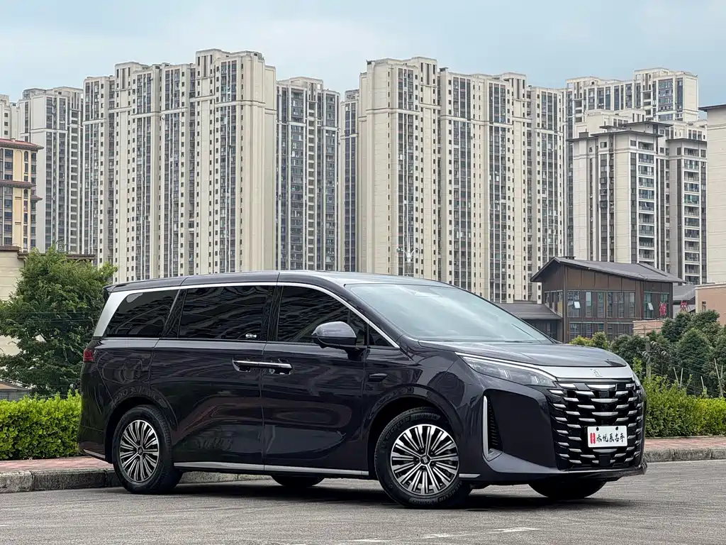 BYD Xia — миниатюра 3