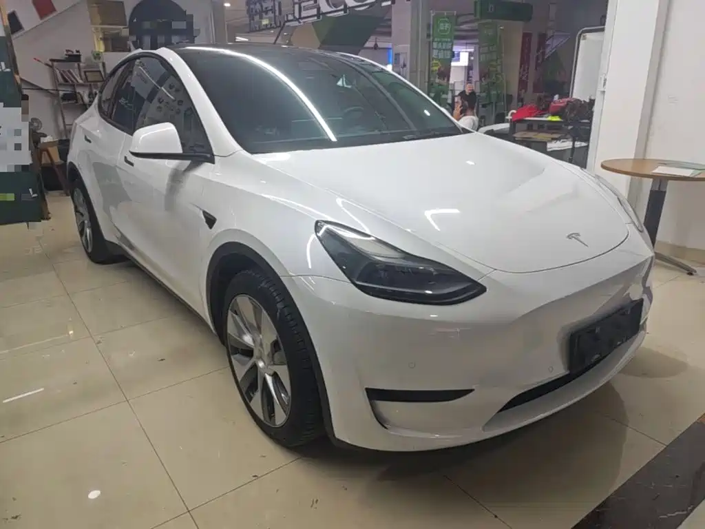 Tesla Model Y — миниатюра 4