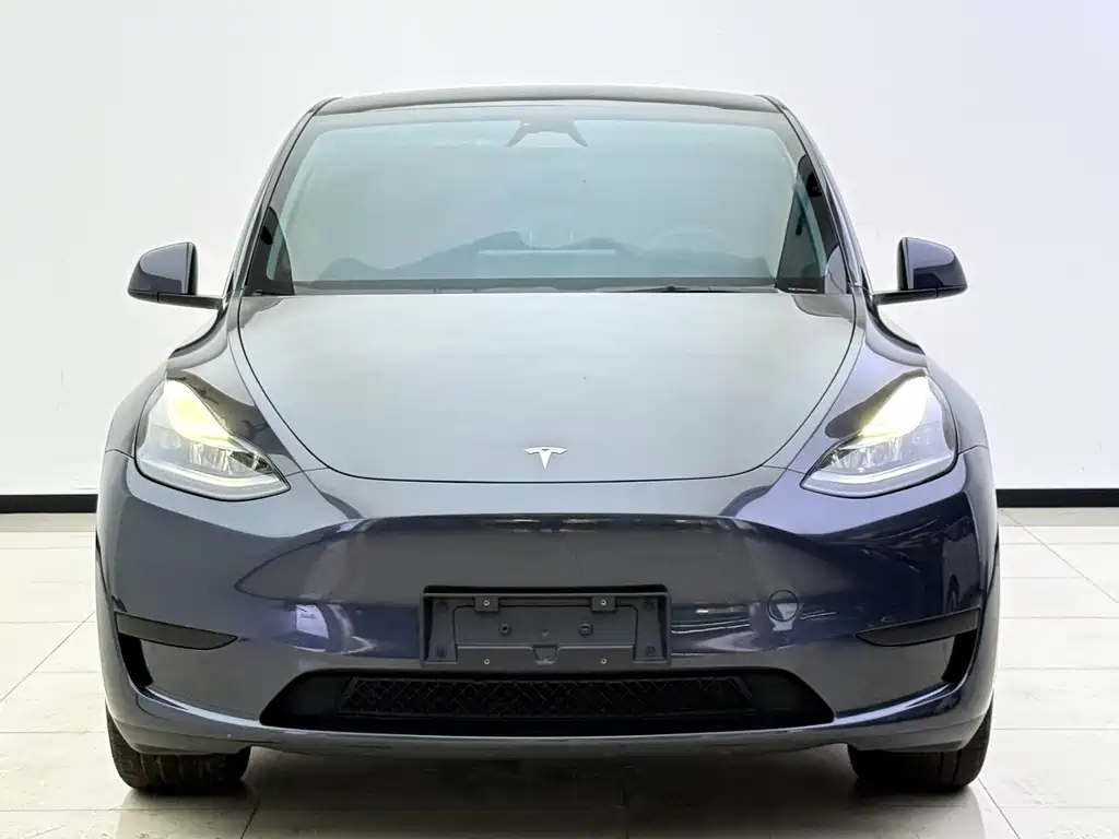 Tesla Model Y — миниатюра 2