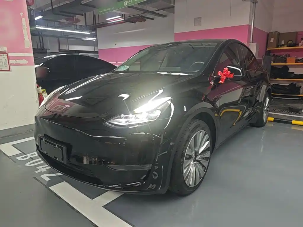 Tesla Model Y — миниатюра 2