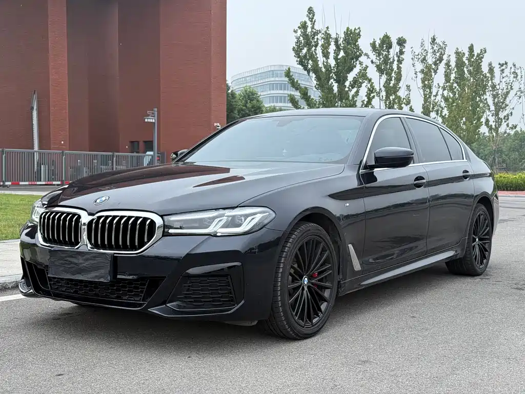 BMW 5 Series — миниатюра 3