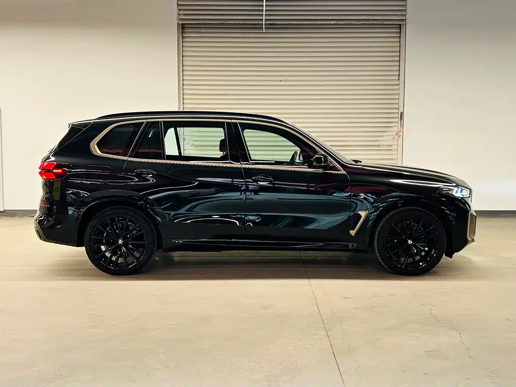 BMW X5 — миниатюра 5