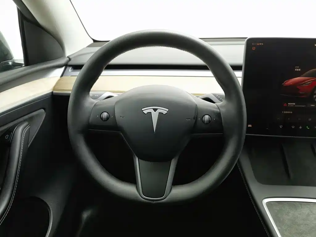 Tesla Model Y — миниатюра 11