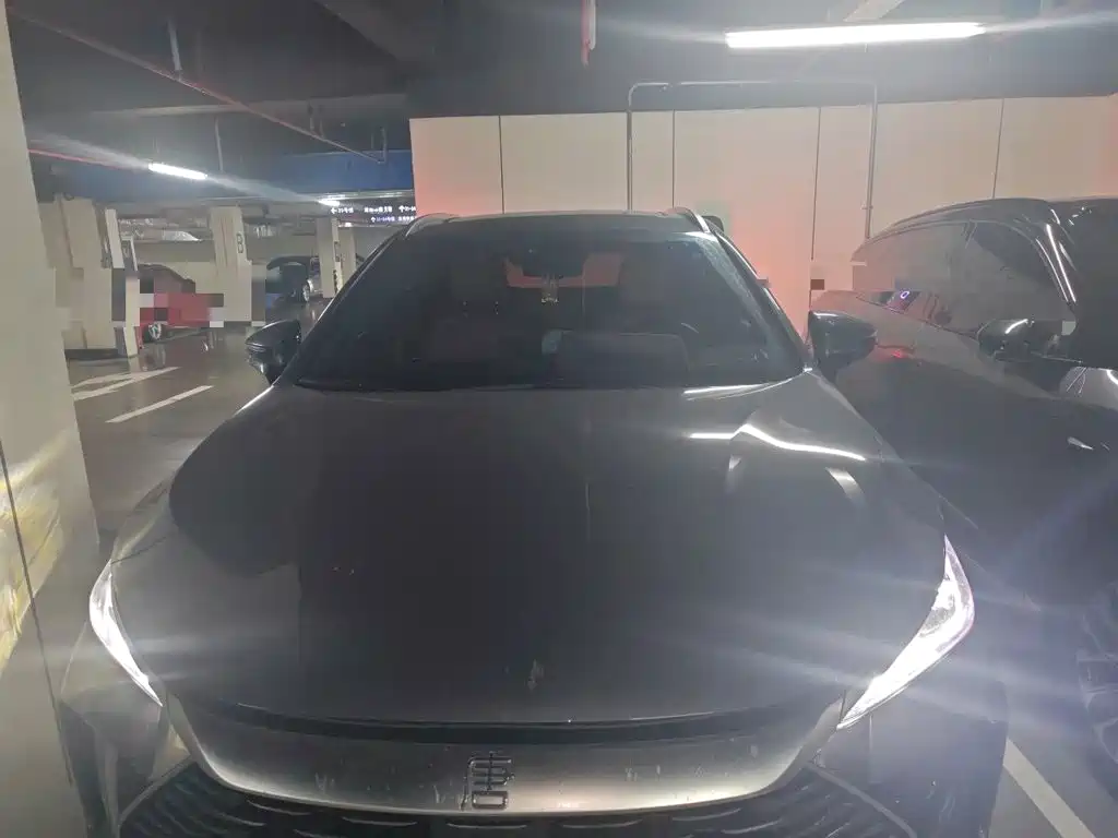 BYD Tang New Energy — миниатюра 2