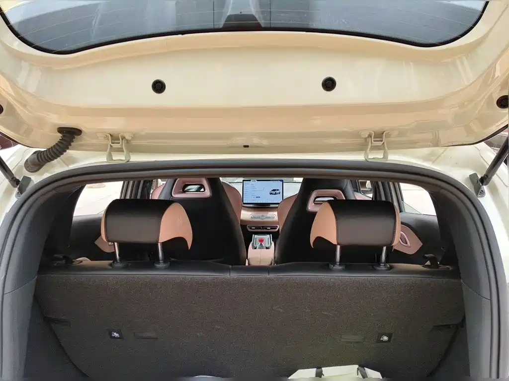 BYD Seagull 2025 Smart Drive 305km Freedom