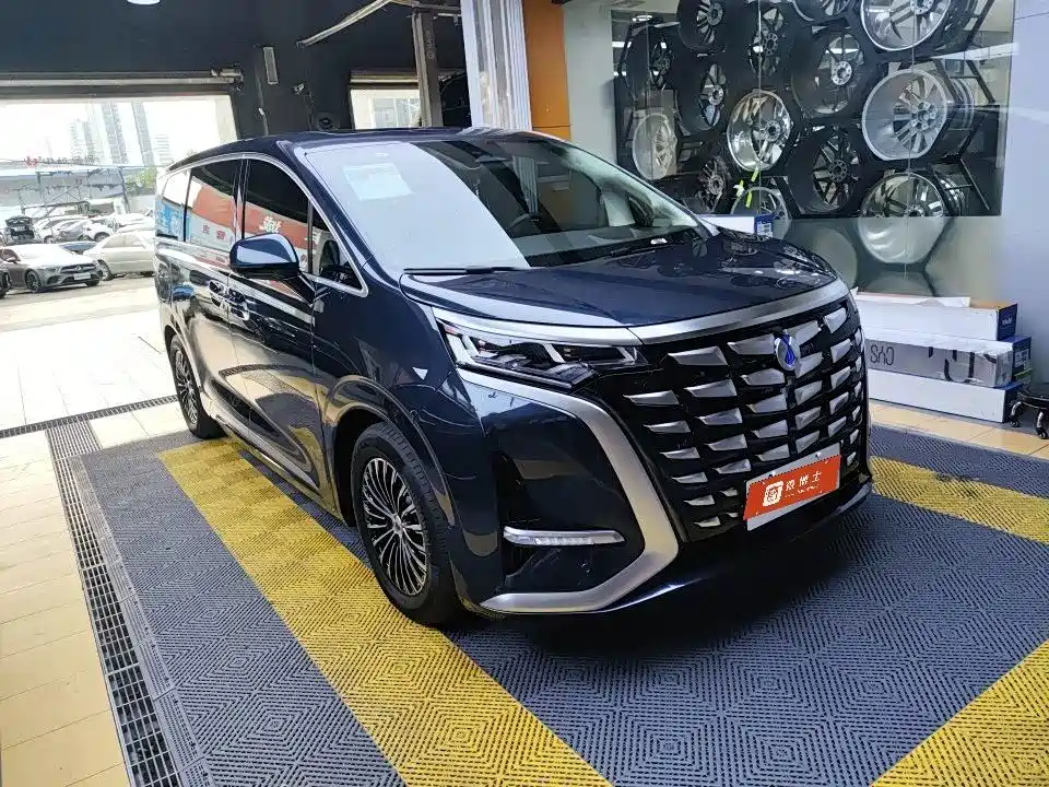 Denza Denza D9 — миниатюра 2