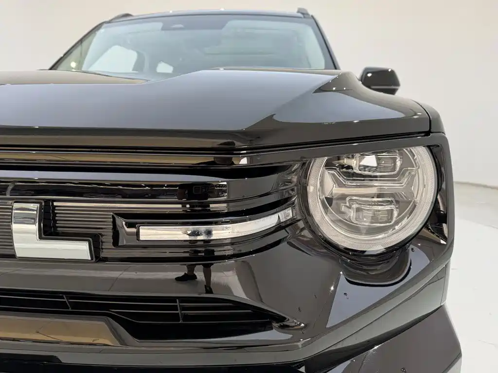Haval Big Dog PLUS New Energy — миниатюра 13