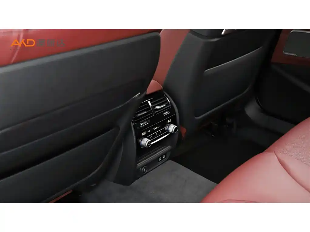 BMW 5 Series 5 2021 530Li Premium M Sport