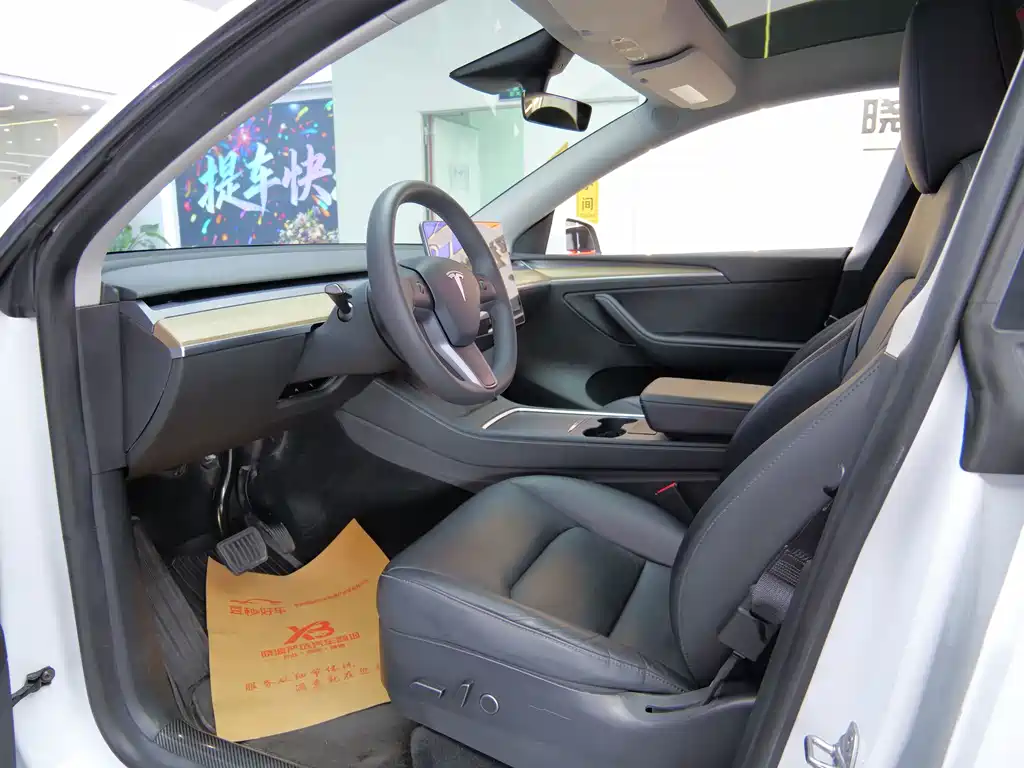 Tesla Model Y — миниатюра 6