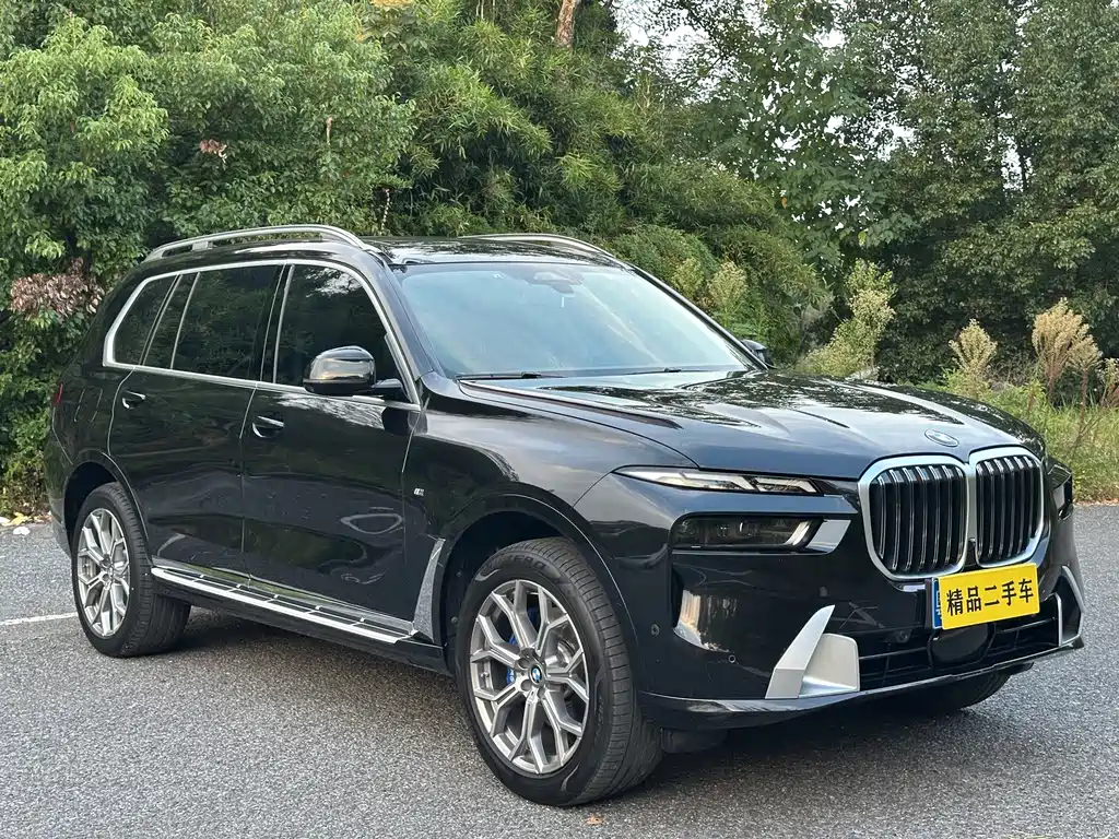 BMW X7 — миниатюра 3