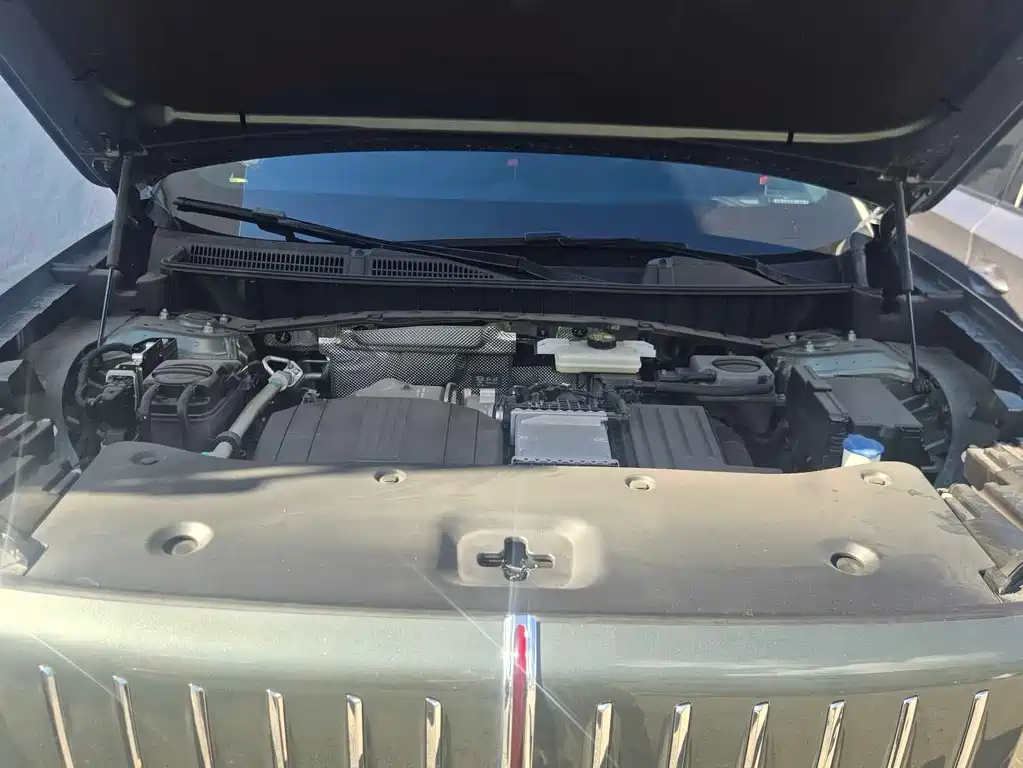 Hongqi Красный флаг HS6 PHEV — миниатюра 12