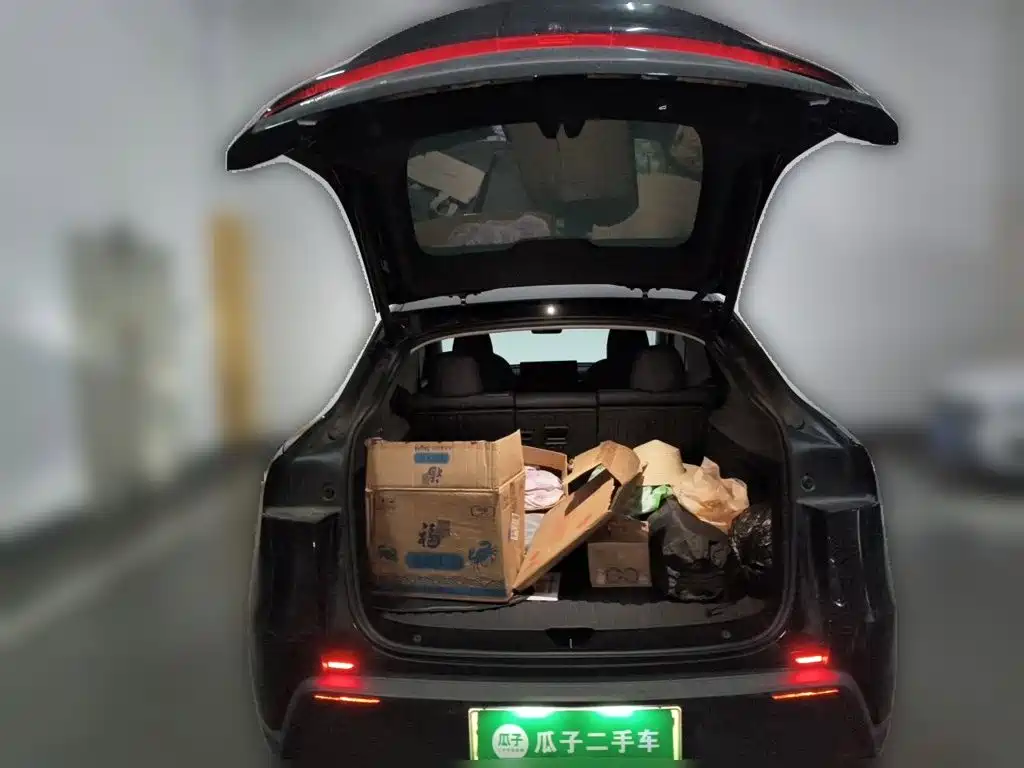 Tesla Model Y — миниатюра 15