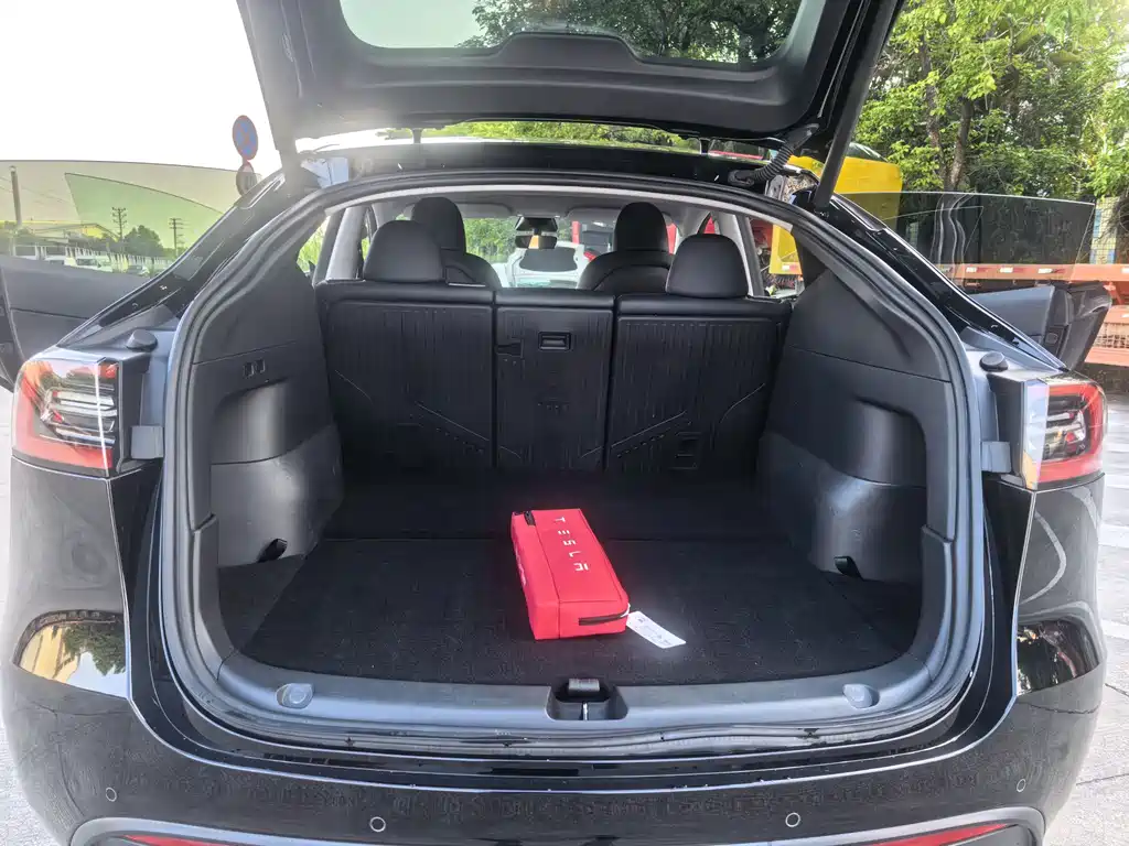 Tesla Model Y — миниатюра 10