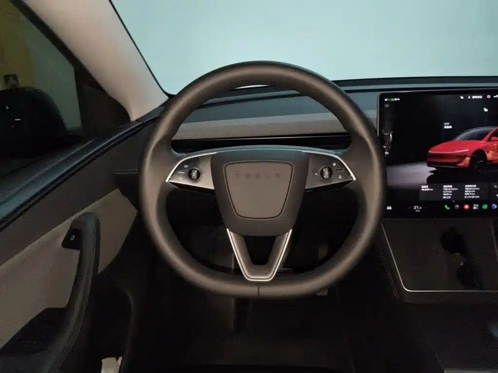 Tesla Model Y — миниатюра 6