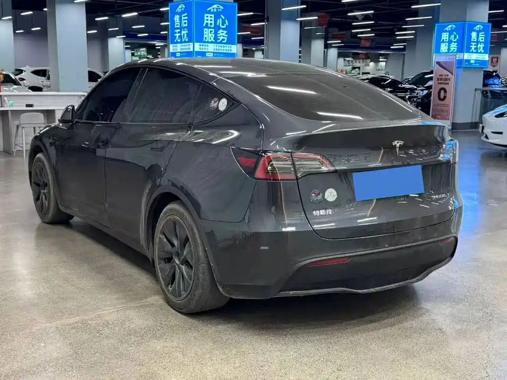 Tesla Model Y — миниатюра 11