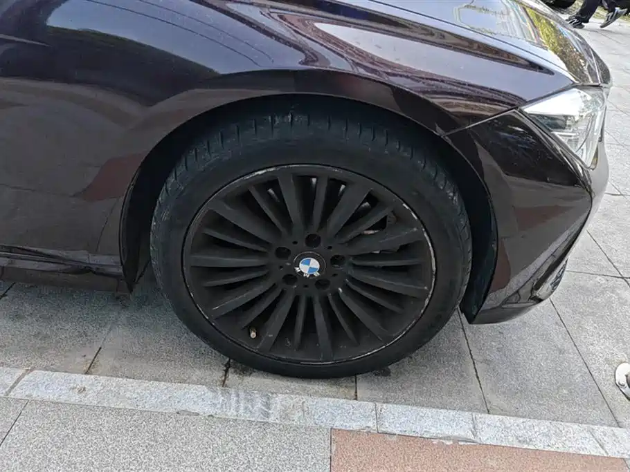 BMW 3 Series 3 2018 320Li Fashion