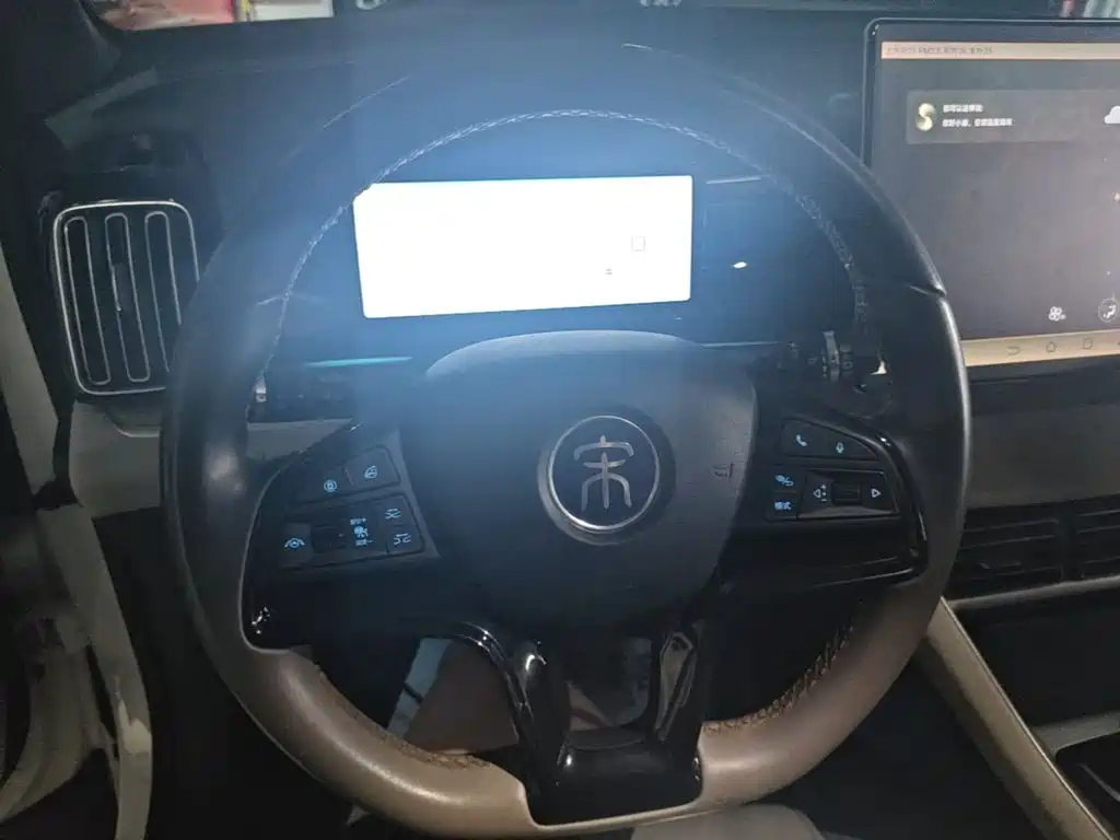 BYD Pro New Energy — миниатюра 11