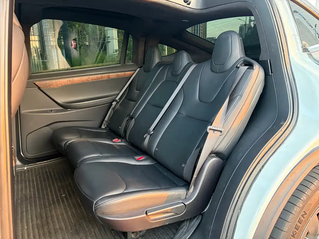 Tesla Model X — миниатюра 8