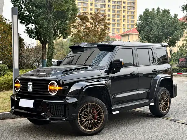 2024 TANK 300