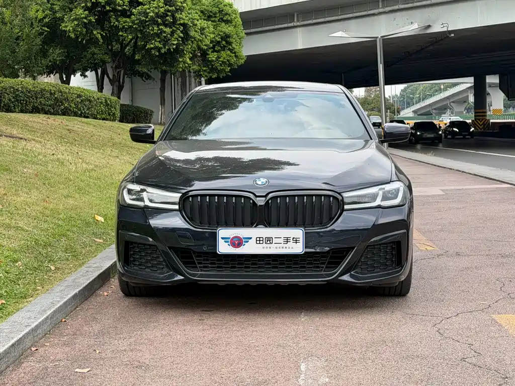 BMW 5 Series New Energy — миниатюра 2