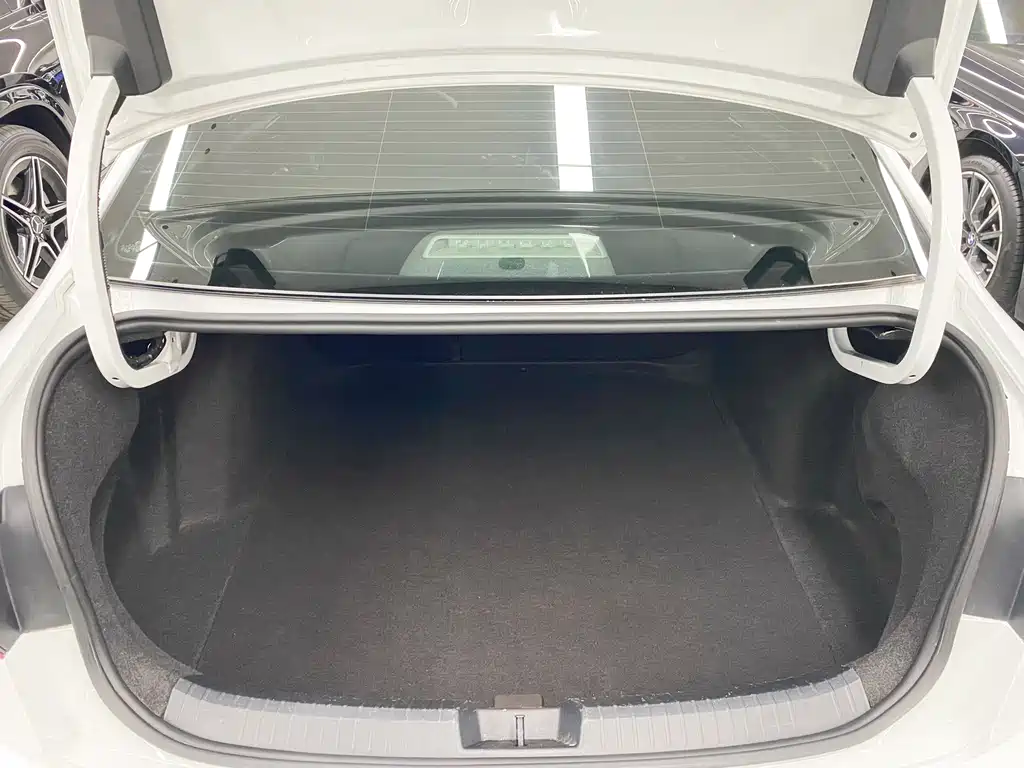 Volkswagen Sagitar — миниатюра 18
